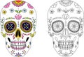 Coloring book. Day of the dead, Dia de los moertos, banner with colorful Mexican flowers. Vector skeleton skull in sombrero